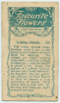White Stock.