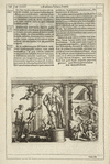 [Tail-piece.] Cap. XXIII, Academiæ Picturæ Nobilis.