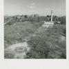 Fort Greene Park from roof of 130 St. Edwards St., Fort Greene, Brooklyn. May 1, 1978.