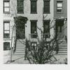 The Pierres. 120 Fort Greene Pl., Fort Greene, Brooklyn. May 4, 1978.