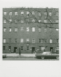 Althea Buchanan. 48 S. Oxford St., Fort Greene, Brooklyn. May 7, 1978.