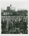 Ocean Parkway & Bay Parkway. Washington Cemetery. February 2, 1978.