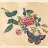 Purple butterfly with pink flower