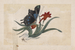 Black butterfly with red flowers and long green leaves
