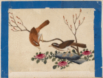 Birds of China. [Brown birds on branch and stone]