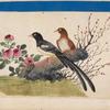 Birds of China. [Black bird and brown bird on stone with branches and berries, flowers]