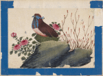 Birds of China. [Brown bird with blue face on stone]