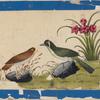 Birds of China. [Brown bird and green bird on stones]