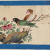 Birds of China. [Green bird with black head, brown bird]