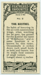 Kestrel.