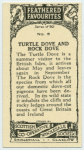 Turtle Dove and Rock Dove.