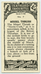 Missel Thrush.