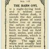 Barn Owl.