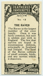 Raven.
