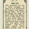 Jay.