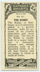 Robin.