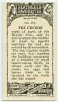 Cuckoo.