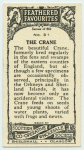 Crane.