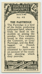 Partridge.