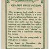 Orange Fruit Pigeon.