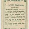 Banded Chatterrer.