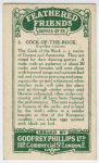 Cock-of-the-Rock.