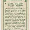 Prince Rudolph's Bird-of-Paradise.
