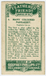 Many Coloured Parrakeet.