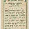 Blue-shouldered Tanager.