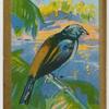 Orange-rumped Tanager.