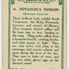 Duvaugel's Trogon.