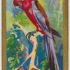 Pennants Parroquet.