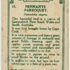 Pennants Parroquet.