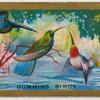 Humming Birds.