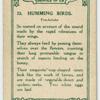 Humming Birds.