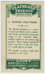 Banded Chatterer.