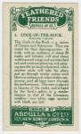 Cock-of-the-Rock.