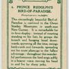 Prince Rudolph's Bird-of-Paradise.