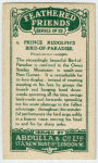 Prince Rudolph's Bird-of-Paradise.