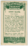 Green Magpie.