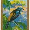 Orange-rumped Tanager.