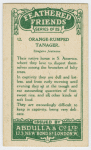 Orange-rumped Tanager.
