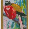 Duvaugel's Trogon.