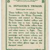 Duvaugel's Trogon.