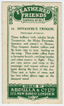 Duvaugel's Trogon.