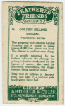 Golden-headed Quezal.