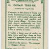Indian Tree-pie.
