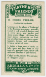 Indian Tree-pie.