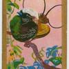Hunstein's Bird-of-Paradise.