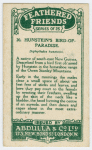 Hunstein's Bird-of-Paradise.